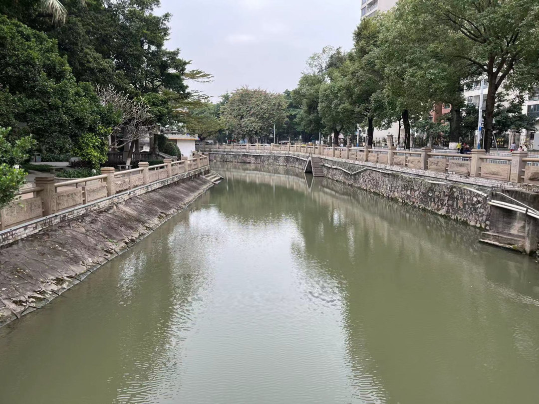 利源水务中标水体综合整治全过程咨询项目